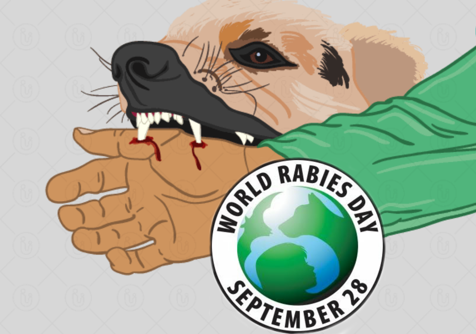 World Rabies day 2020
