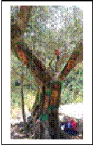 clip_image002[7]