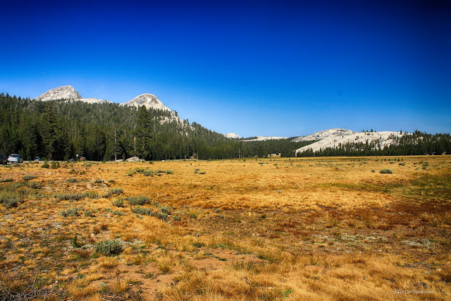 Yosemite National Park Tioga Pass geology travel field trip copyright rocdoctravel.com