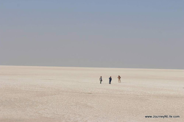 The Harappan Site at Dholavira, Kutch, Gujarat