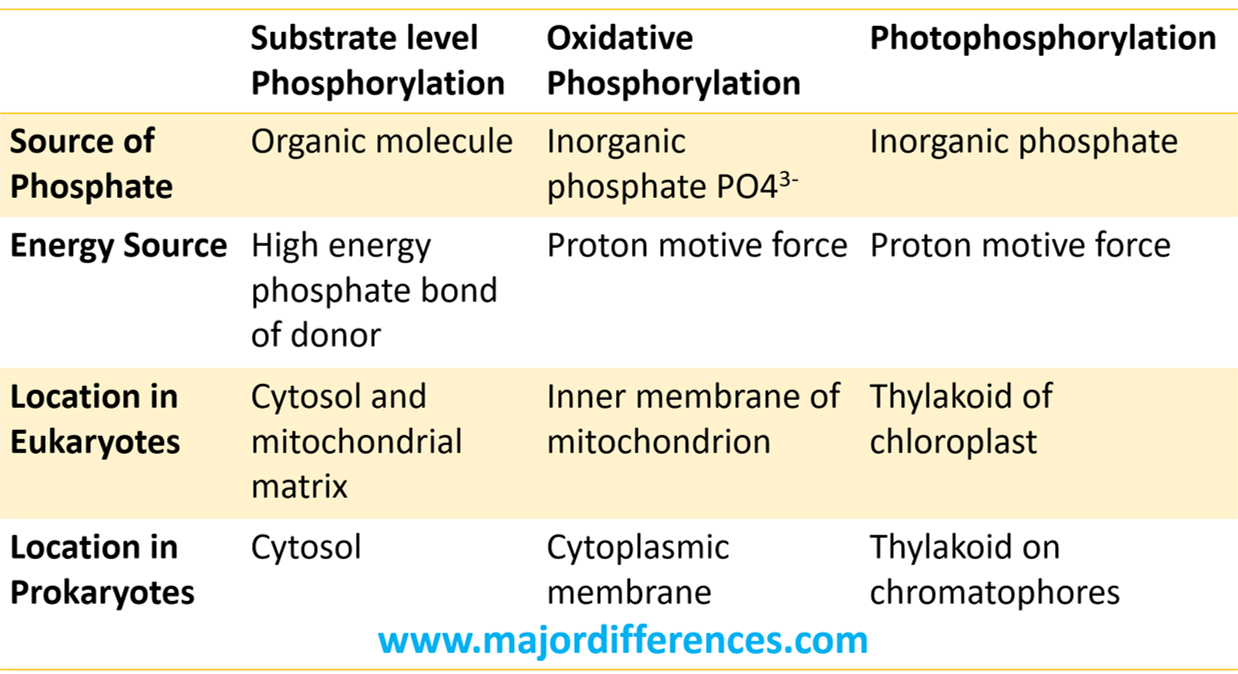 Difference between Substrate level phosphorylation, Oxidative phosphorylation and Photophosphorylation