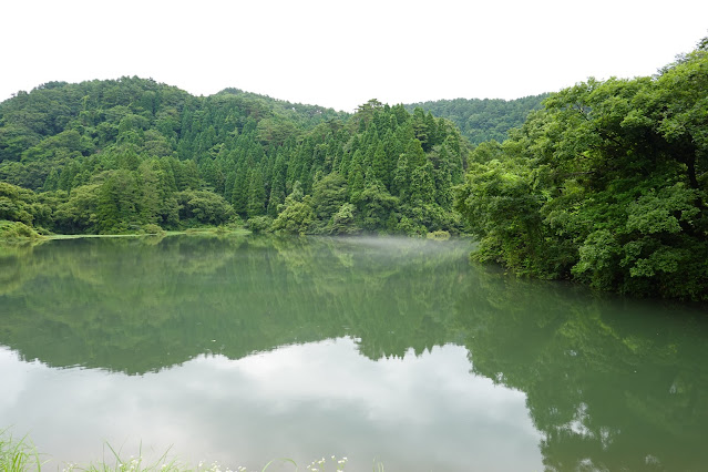 鳥取県西伯郡大山町赤松 名和岸本線沿いの溜池