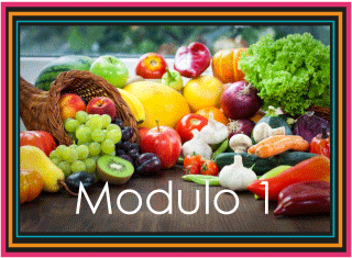curso-de-cocina-vegetariana-modulo-1