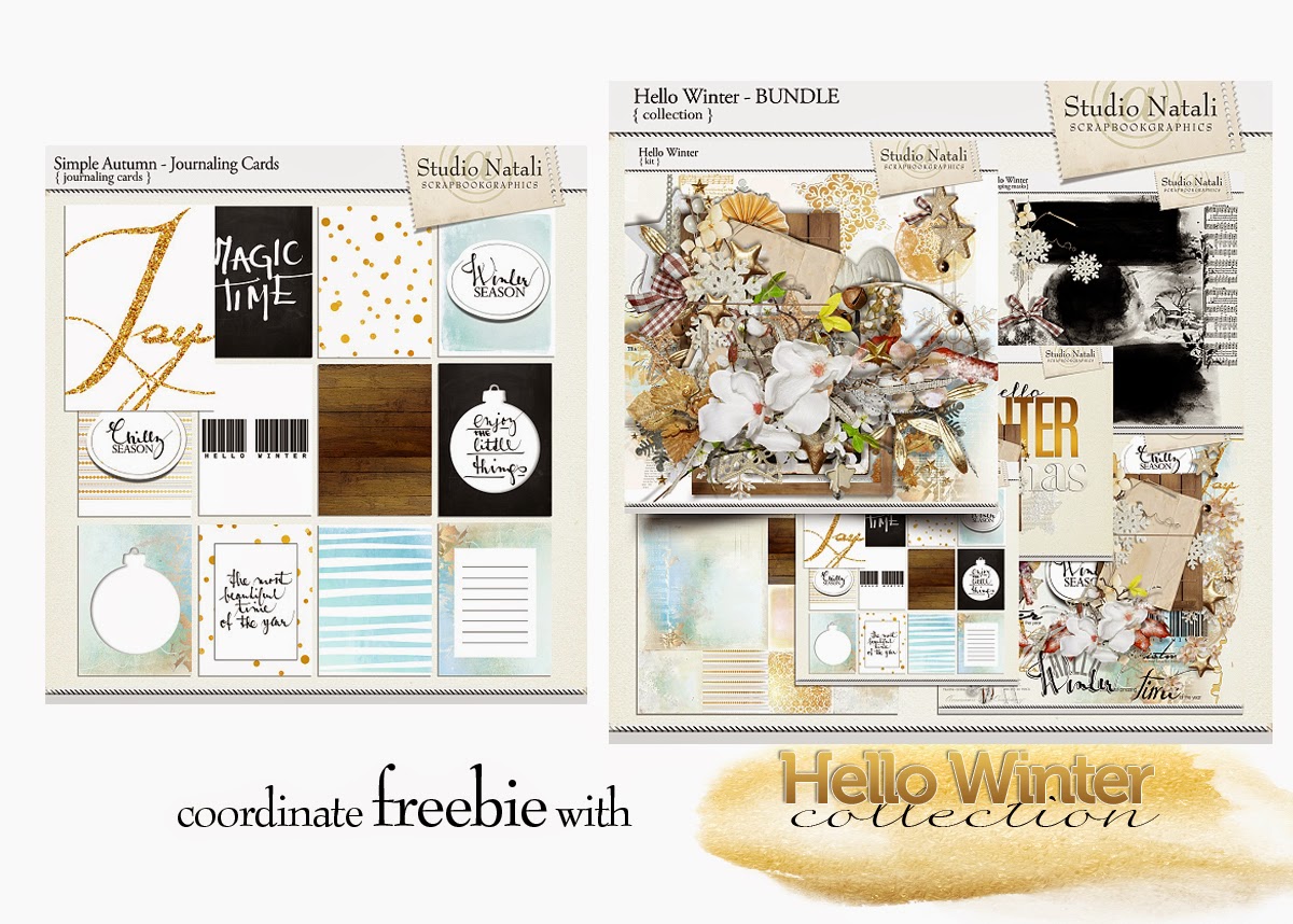 http://natalidesign.blogspot.cz/2014/11/hello-winter-coupon-calendar-for-two.html