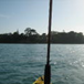View album