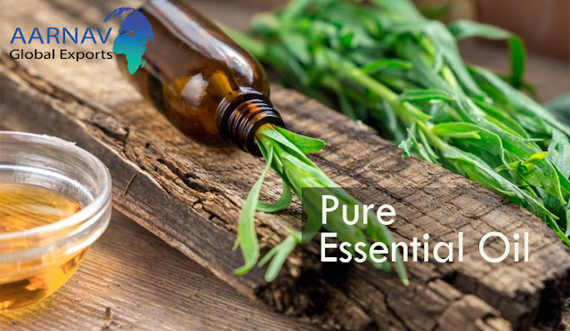 Buy Natural and Pure Essential Oils Online at low prices from Aarnav Global Exports which is extracted from various plant species all around the world so there might not be any shortage of its goodness for you.