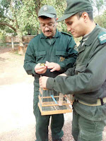 مواصلة عملية القضاء على بؤر الصيد الغير الشرعي للطيور وتحريرها على مستوى غابة المسيلة وهران .