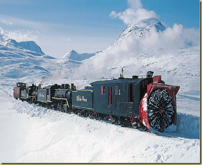 TREM6