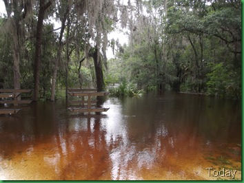 Debby on Tuesday 030