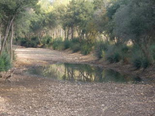 Río Eria, completamente seco, muy cerca de la provincia de Zamora