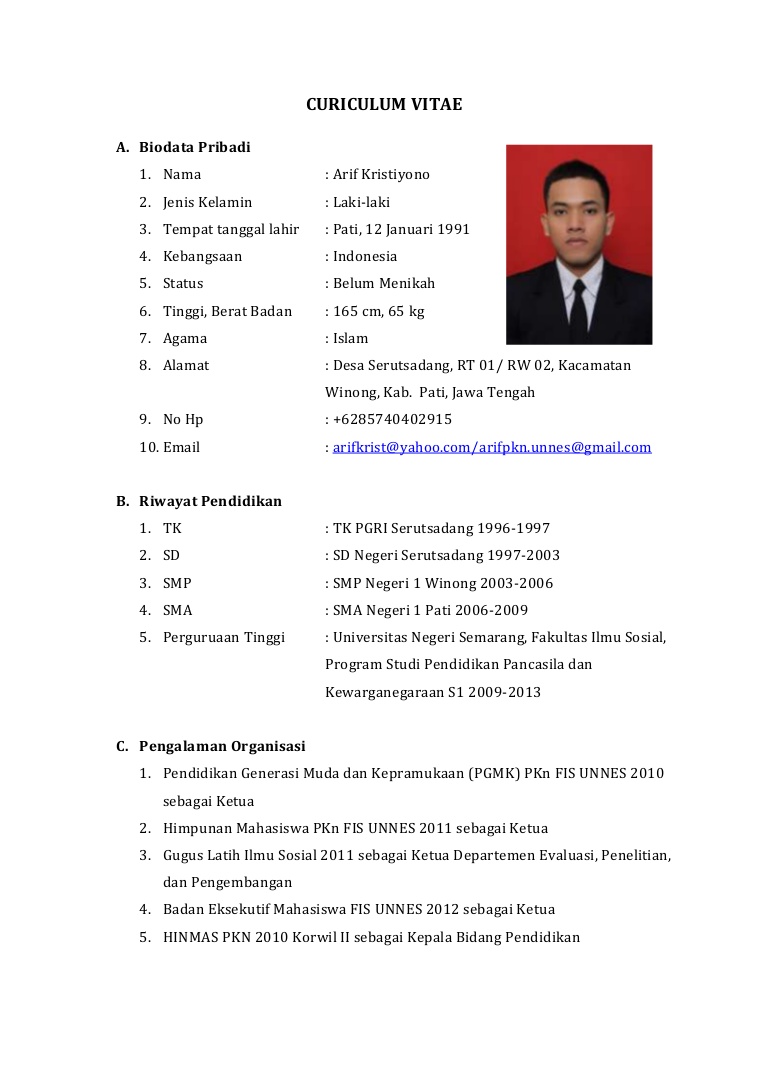 Contoh Curriculum Vitae Bahasa Indonesia 2013 - cv nabila