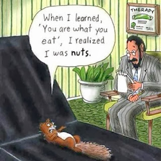 you are what you eat therapy session.  Squirrel talking to doctor saying when I learned that you are what you eat, I realized that I was nuts 