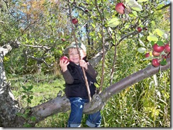 fall 2010 038