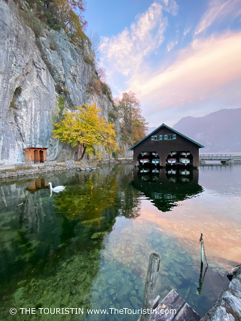 Mountains, a weathered boat pier, a bright green small tree, a white swan and twelve white boats in a dark wooden boat shed mirrored in a crystal clear lake under a slightly cloudy pastel-coloured sunset sky.