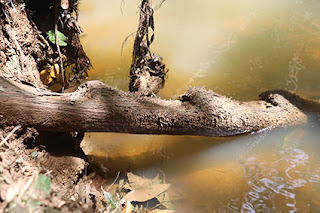 Tangga keramat yang masih di sungai, Sebagai PedagiTangga keramat yang masih di sungai, Sebagai Pedagi