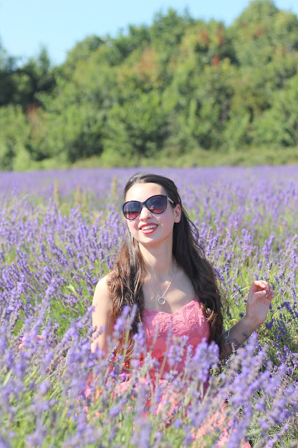 Lavender fields fashion blogger