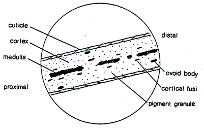 http://www.chem.sc.edu/analytical/chem107/lab4_032205.pdf