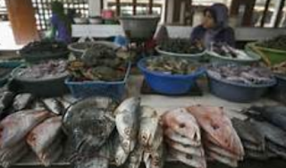 Tempat pelelangan Ikan Paotere