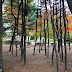 Seoul Fall