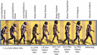 Usul Teori Evolusi Manusia Menurur Para Ahli  Asal-Usul Teori Evolusi Manusia Menurur Para Ahli
