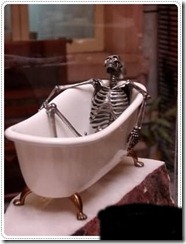 Skeleton scrubture (3)