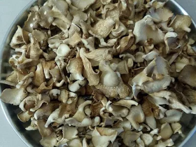 Mushroom supplier company in Pune