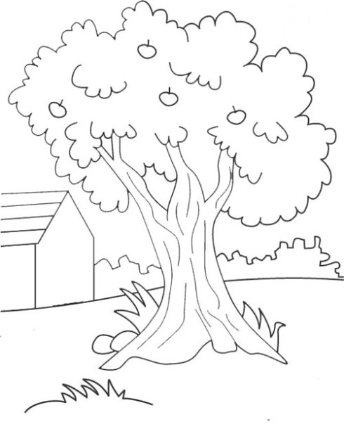Psikotes Menggambar Pohon Baum Tree Test 