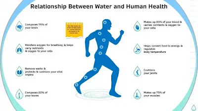 Importance of Water for Human Health