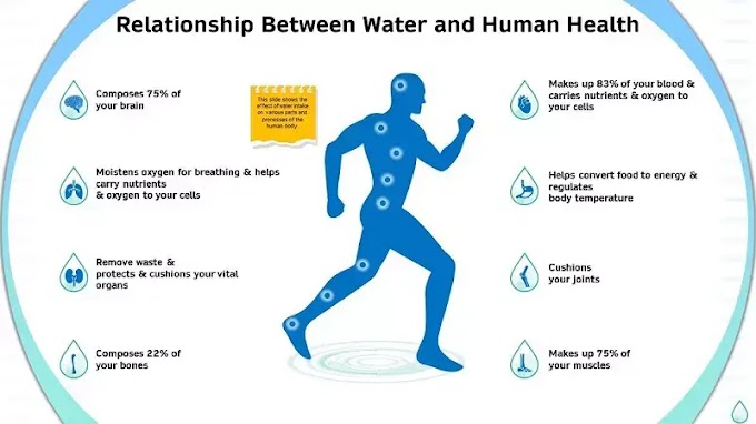 Why Water Is Important: The Benefits of water from health to environment