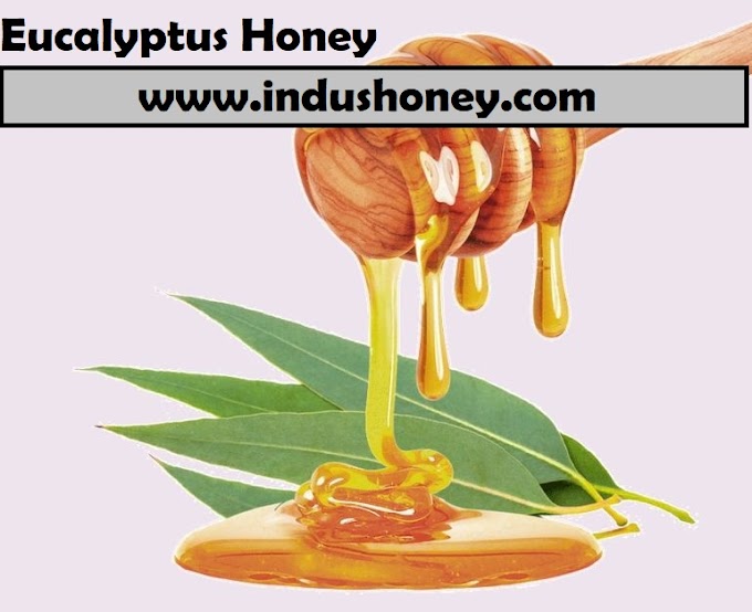 Buy Eucalyptus Honey Directly From The Leading Manufacturer In USA