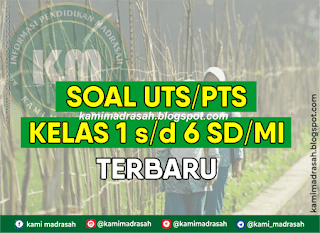 Soal UTS/PTS Kelas 1, 2, 3, 4, 5, dan 6 SD/MI Semester 1