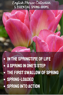 English Phrase Collection | 5 Essential Spring Idioms |  In the springtime of life, A spring in one's step, The first swallow of spring, Spring-loaded, Spring into action