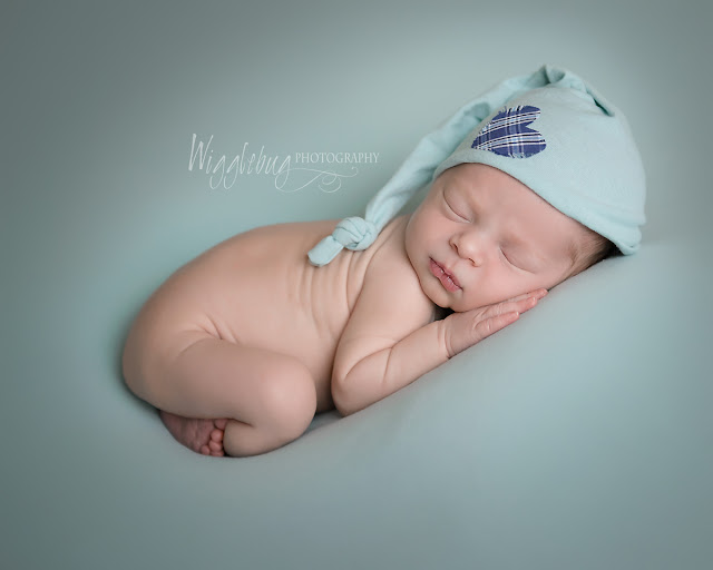 Newborn Baby Boy in the DeKalb IL photography studio of Wigglebug Photography 