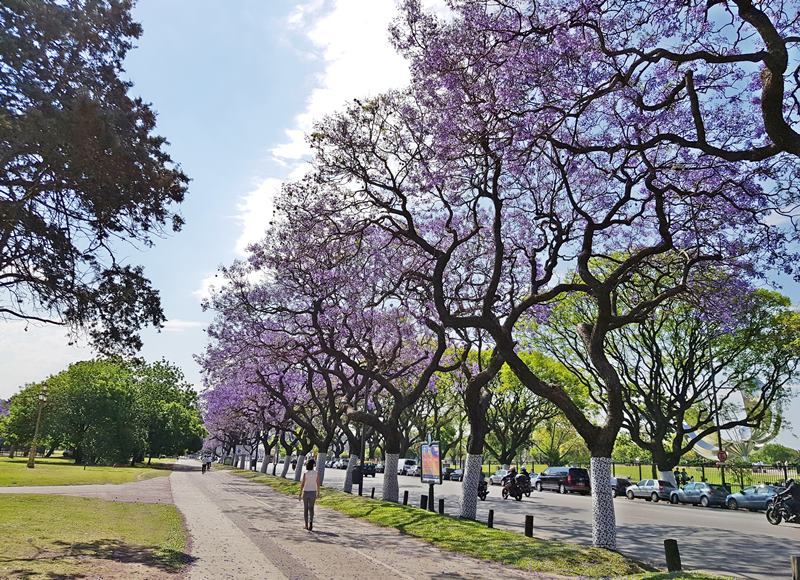 Dicas de Buenos Aires