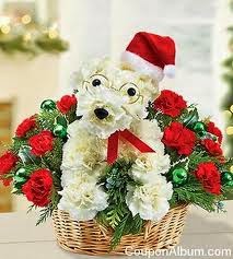 1800 Flowers Christmas Gifts 