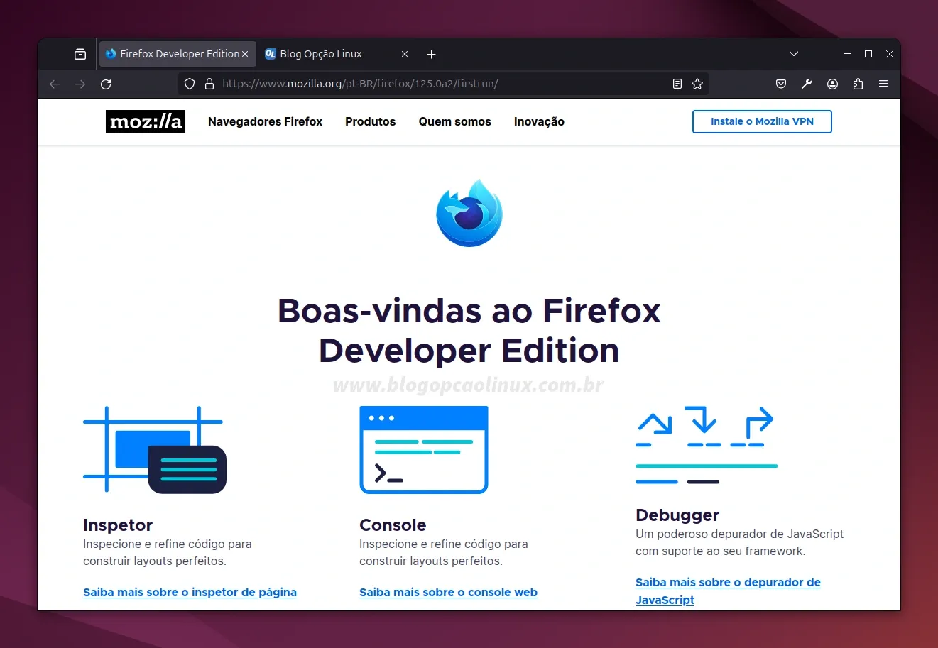Mozilla Firefox Developer executando no Ubuntu 24.04 LTS (Noble Numbat)