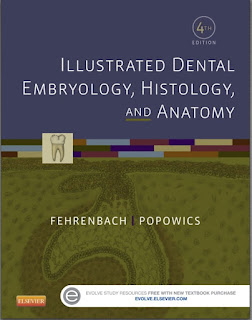 Illustrated Dental Embryology, Histology, and Anatomy, 4th Edition PDF