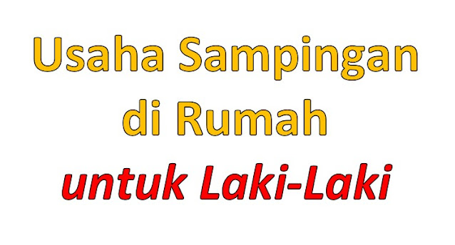 Ide Usaha Sampingan di Rumah untuk Laki-Laki