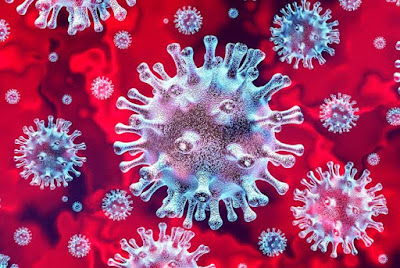 O vírus da covid-19 visto a partir da lente do microscópio.Ele  tem o formato ou perfil de uma coroa,  daí vem esse nome de coronavírus. É  pertencente a família do coronavírus da síndrome respiratória aguda grave 2 (SARS-CoV-2)