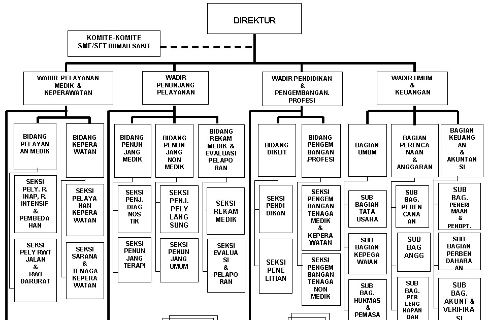 Gambar Gambar Struktur Organisasi Rumah Sakit - Wall PPX