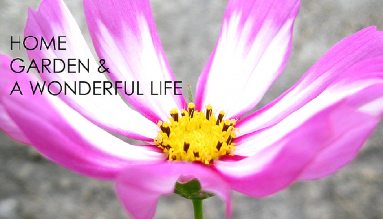Home, Garden, and a Wonderful Life