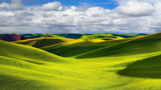 Green Landscape HD Wallpaper