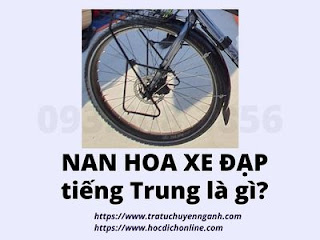 Nan hoa xe đạp