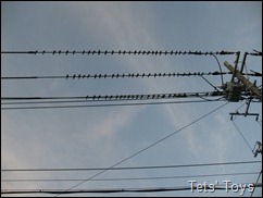 IMG_5089