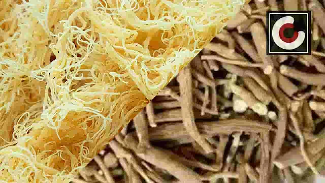 sea moss and ashwagandha benefits