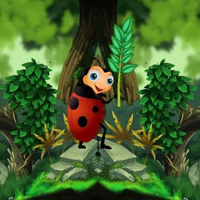 G2R Ladybug Jungle Escape