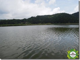 B雙連埤-湖面 浮島