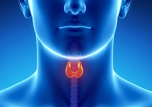 ECG Changes In Hyperthyroidism