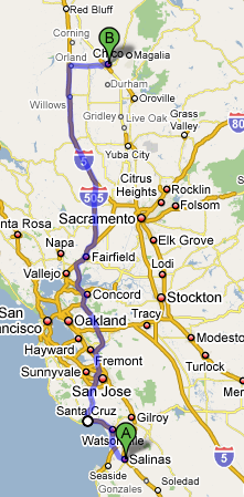 Chico.png