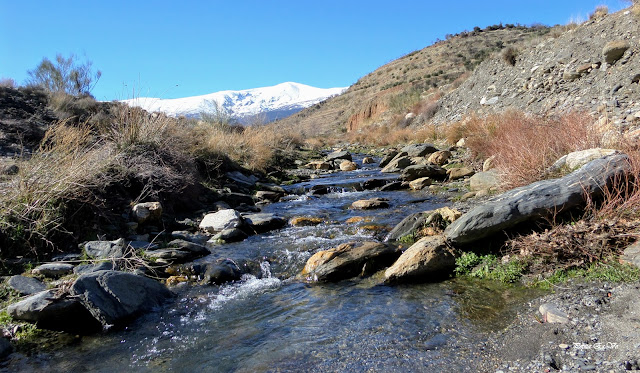 Ríos de Jérez y Lanteira, Berral